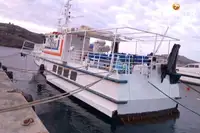 Navă de feribot de vânzare