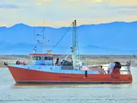 Trawler de vânzare
