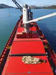 Nava de transport marfă vrac de vânzare