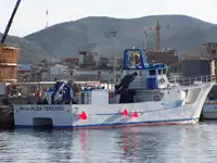 Catamaran de vânzare