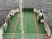 Navă Ro-Ro de vânzare