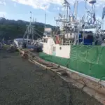 Nava de pescuit tip trauler de vânzare