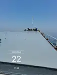 Nava de transport marfă vrac de vânzare