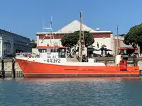 Fier vechi de vânzare