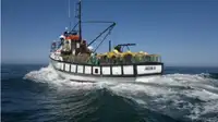 Trawler de vânzare