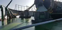Nava de transport marfă vrac de vânzare