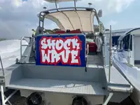 Navă de feribot de vânzare