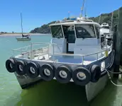 Catamaran de vânzare