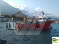 Bărci de lucru de vânzare