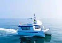 Catamaran de vânzare