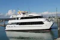 Catamaran de vânzare