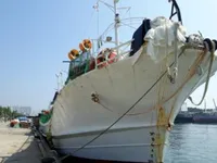 Nava de pescuit cu lansete pentru calmar de vânzare