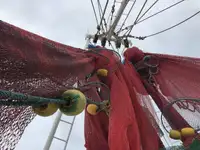 Nava de pescuit tip trauler de vânzare