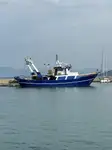 Trawler de vânzare