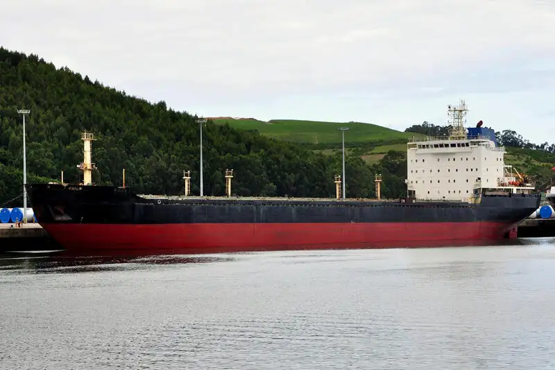 Nava de transport marfă vrac de vânzare