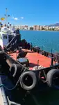Ambarcațiuni de lucru de vânzare