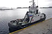 Remorcher de vânzare