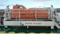 Nava de transport marfă vrac de vânzare