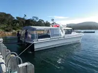 Catamaran de vânzare