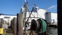 Nava de pescuit tip trauler de vânzare