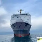 Navă Ro-Ro de vânzare