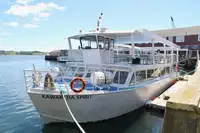 Navă de pasageri de vânzare