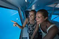 Submarin de vânzare