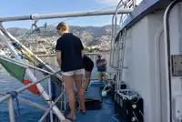 Remorcher de vânzare