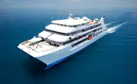 Catamaran de vânzare