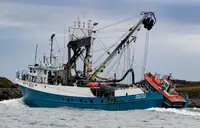 Nava de pescuit cu plase purseine de vânzare