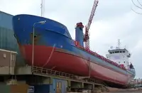 Nava de transport marfă vrac de vânzare