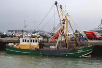 Trawler de vânzare