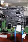 Nava de transport marfă vrac de vânzare