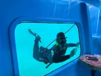 Submarin de vânzare