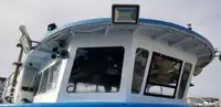 Catamaran de vânzare