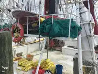 Nava de pescuit tip trauler de vânzare