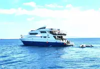 Suport pentru scufundări de vânzare