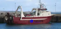 Trauler mare frigorific de vânzare