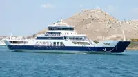 Navă cu feribotul de vânzare