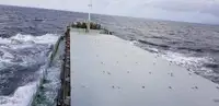 Nava de transport marfă vrac de vânzare