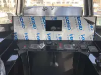 Catamaran de vânzare