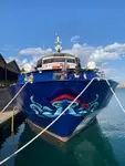 Navă cu feribotul de vânzare