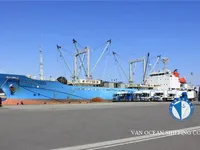 Nava refefer de vânzare