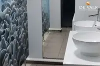 Navă de feribot de vânzare