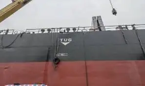 Nava de transport marfă vrac de vânzare