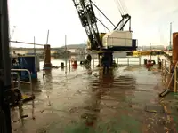 Nava cu macara de vânzare