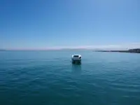 Catamaran de vânzare
