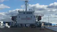 Nava de transport marfă vrac de vânzare