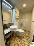 Navă de croazieră de vânzare