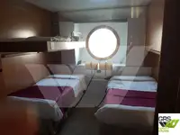 Navă de croazieră de vânzare
